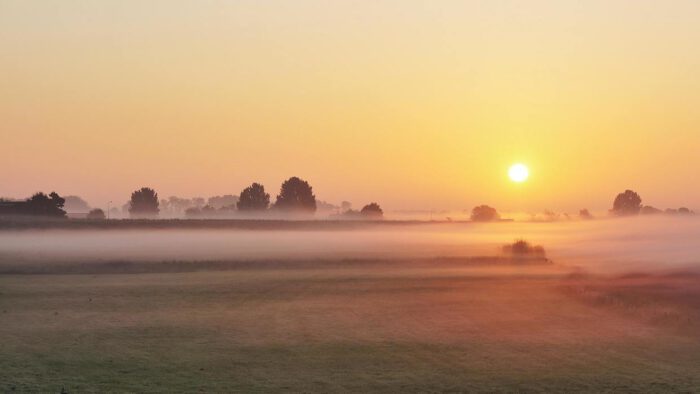 de-zon-Meuknieuws.nl