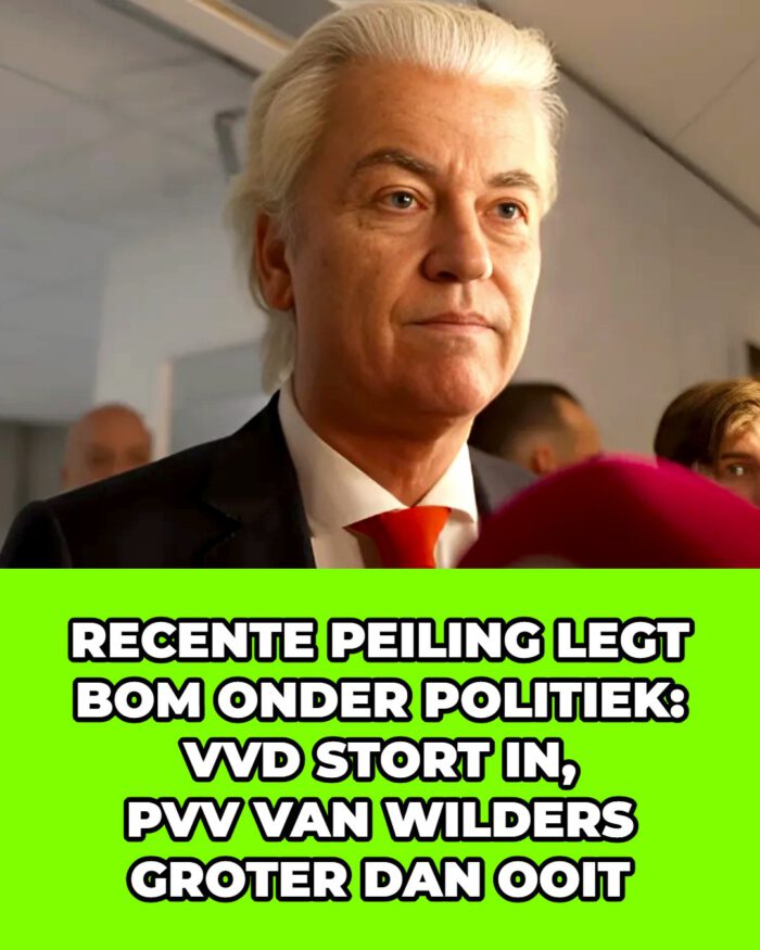 Wilders juicht: ‘Nederland wil de PVV!’